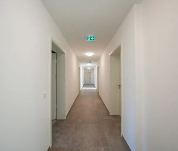 Familienglück auf 3-Zimmer mit bester Aussicht - Photo 1