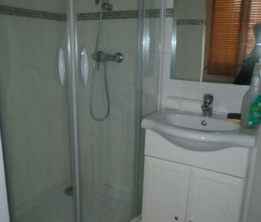 Location Appartement 1 pièce Meublé 17m² ISSY LES MOULINEAUX 92130 - Photo 1