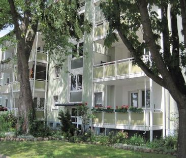 Stop! Ansprechende 3-Zimmer-Wohnung - Foto 3