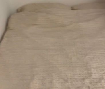 Appartement à louer 1 pièce • 23,58 m 2 La Mulatière - Photo 5