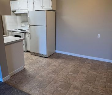 Spacious Top Floor 2 Bedroom Cat Friendly Suite in Clearview! - Photo 1