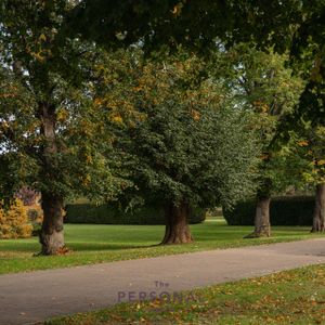 Redwood Drive, Epsom - Photo 2