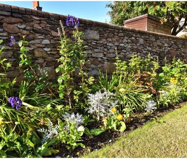 1 Bed Flat, Elmfield Avenue, AB24 - Photo 3