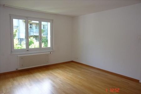 Spacious apartment in a quiet location - Photo 5
