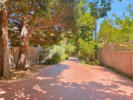 2/36A Stanhope Grove, Camberwell - Photo 4