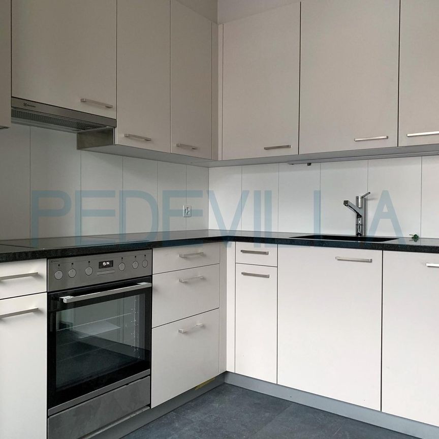 Zu vermieten ? 2,5-Zimmer-Wohnung im 1. Stock - Foto 1