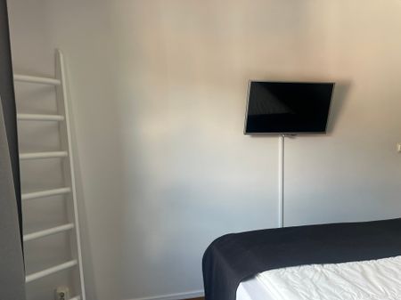 Drottninggatan, Helsingborg - Photo 4