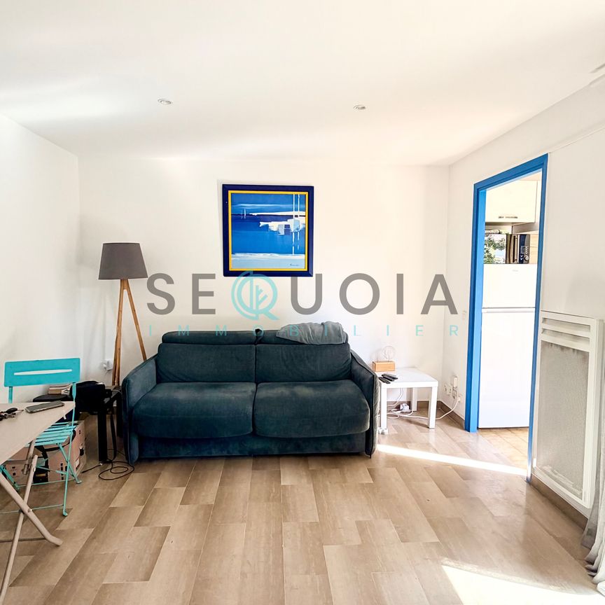 Location Appartement 1 pièce 22m² VALLAURIS 06220 - Photo 1