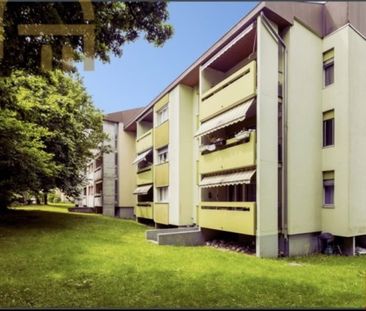 3.5 Zimmer, 65 m², 1. Stock - Foto 5