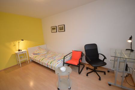 City-Residence: Praktisches Apartment nahe Schweizer Straße und Mainufer - Photo 4