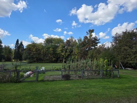 For Lease - 20336 Bathurst Street Unit# 2B, East Gwillimbury, Ontario - Photo 4