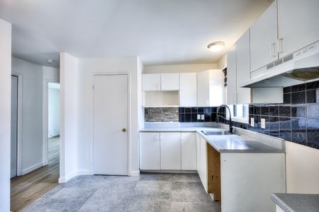 11667 Rue Sainte-Catherine Est - Photo 4