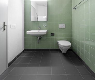 Rent a 3 ½ rooms apartment in Affoltern am Albis - Photo 5