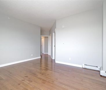 2 Br Condo For Rent In Downtown W/ Undgr. Parking & In Suite Laundry! - Photo 4