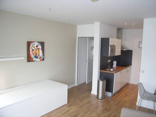 Te huur: Studio Kesselskade 53 C 492 in Maastricht - Photo 1