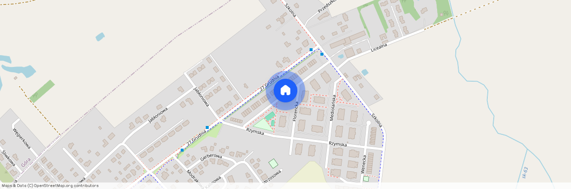 ul. Turyńska, Tarnowo Podgórne, Tarnowo Podgórne, poznański, wielkopolskie