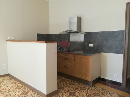 Location Appartement 1 pièce 35m² ANIANE 34150 - Photo 1