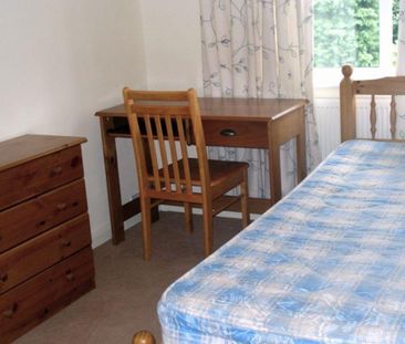 3 bedroom house to rent - Photo 3