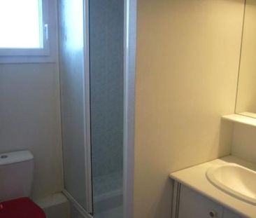 Appartement à louer, 1 pièce - Angers 49000 - Photo 5