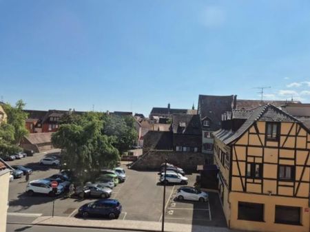 Studio 18.26 m² - 1 pièce - Colmar (68000) - Photo 3