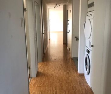 Au-dessus des toits de Hinwil - Foto 1