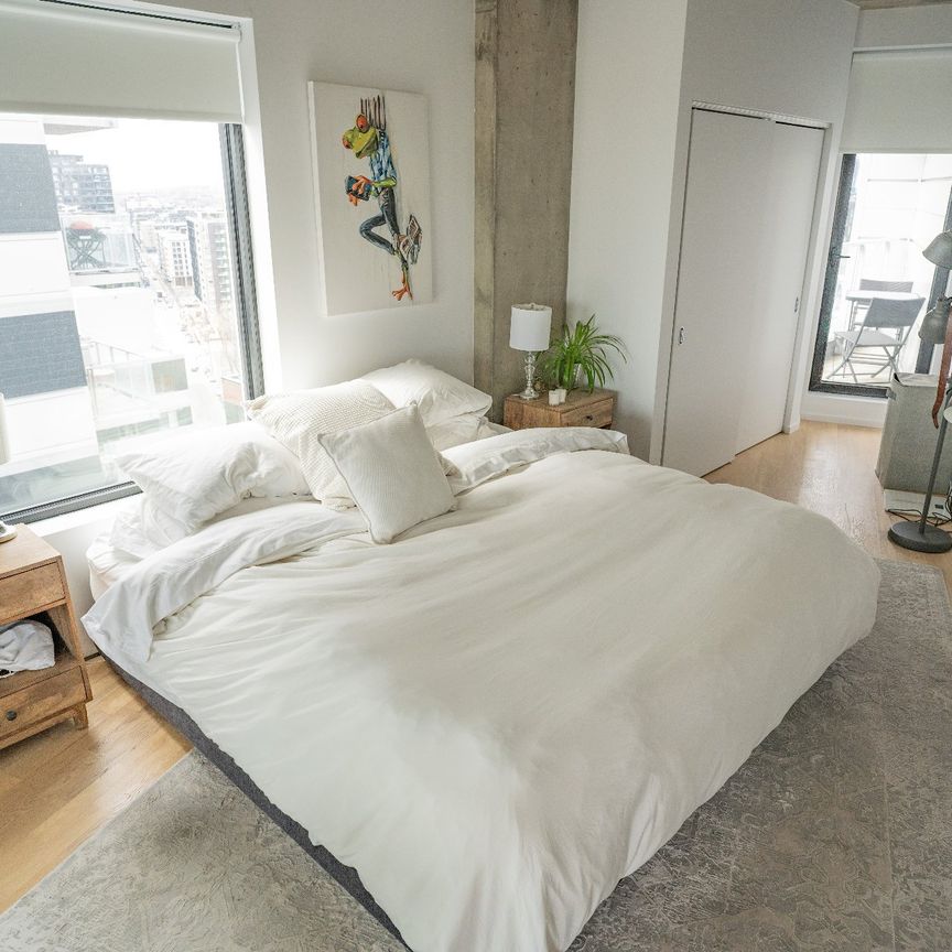1085 Rue Smith, Montréal (Le Sud-Ouest), QC H3C - Photo 1