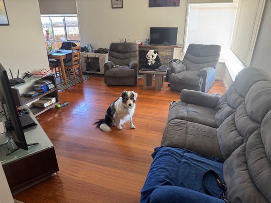 Bentleigh East - Photo 1