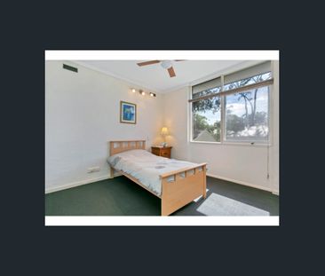 Quintessential Leabrook living in one of the most stunning leafy st... - Photo 4