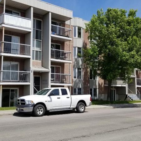 Grand 4 1/2 entièrement rénové pour juillet - Photo 3