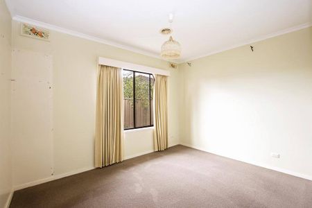 Surprise Packet - Photo 3