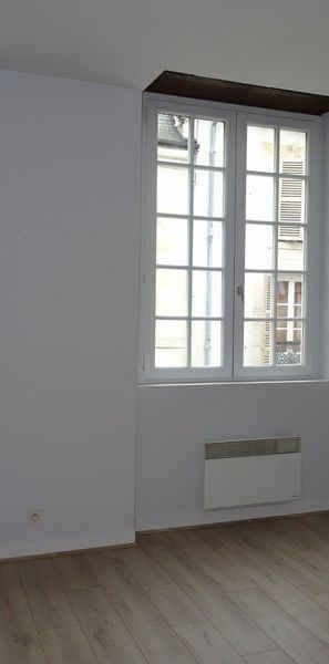 Location Appartement 1 pièce 23m² ORLEANS 45000 - Photo 1