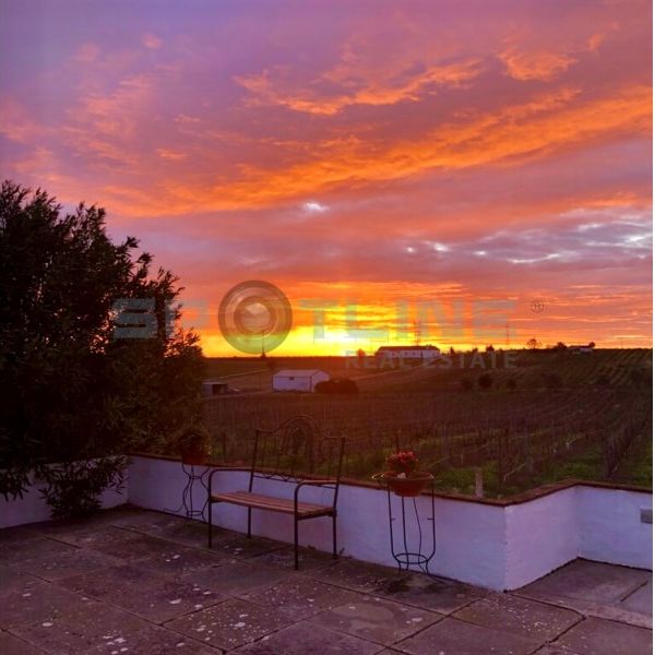 Moradia T3+1 em Setúbal - Photo 1