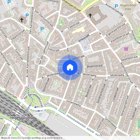 Oud-Assendorp, 8012 TJ, Van Ittersumstraat, Zwolle