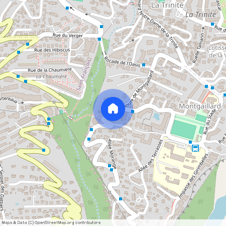 97400 SAINT DENIS, Montgaillard