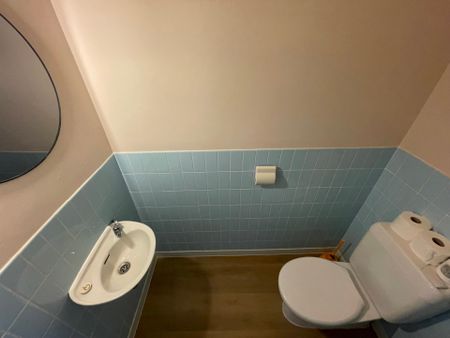 ZOTTEGEM - Gerenoveerd appartement vlakbij het station. - Foto 4