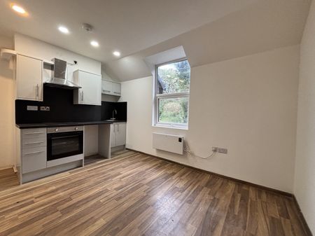 Flat 5, Arboretum Road, WS1, Walsall - Photo 3