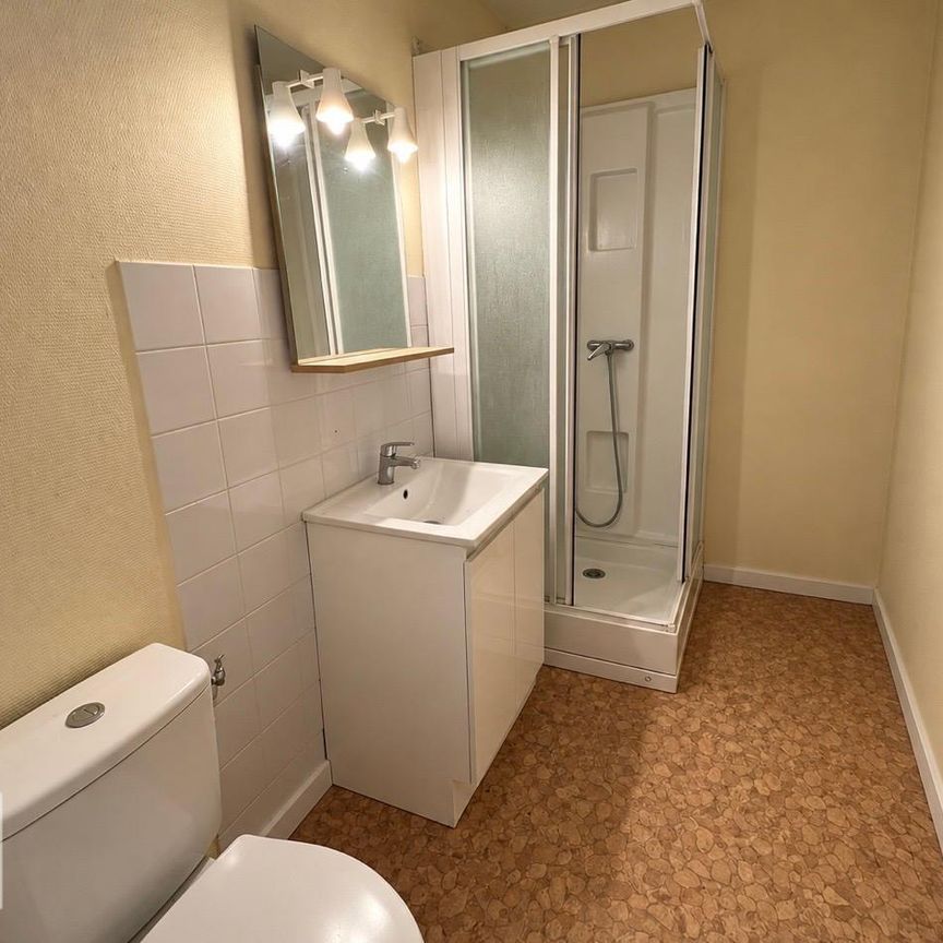 Location Appartement 1 pièce 40m² LE MANS 72000 - Photo 1