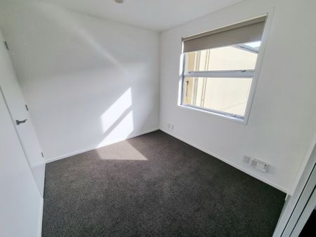 Albany - modern apartment fantastic location - Photo 5