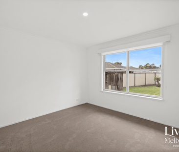 Freshly Renovated & Move-In Ready Family Home - Photo 3