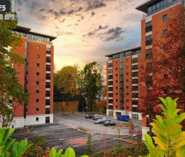 Unit 5, Luna Building, Redwoods, Dunmurry, Belfast, BT17 9FP - Photo 5