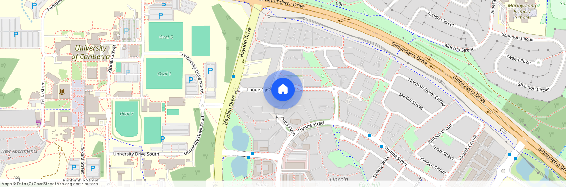 39 Lampard Street, Bruce