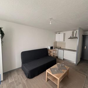 Location Appartement 1 pièce 20m² ST ETIENNE 42100 - Photo 2