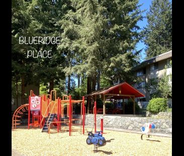 Blueridge Apartments - Photo 3