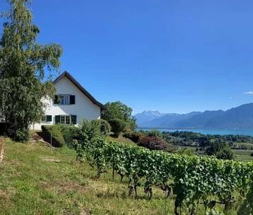 Magnifique villa individuelle de 7 pièces sur 3 niveaux - Magnifice... - Photo 5