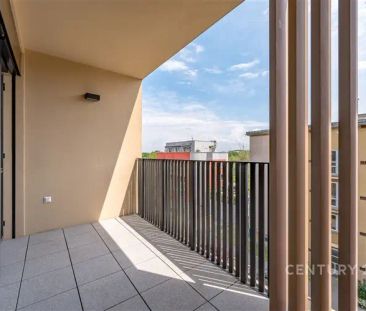 Pronájem bytu 2+kk s lodžií, sklepem a parkovacím místem, 71 m - Photo 1