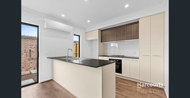 Brand New Delight! - Photo 1