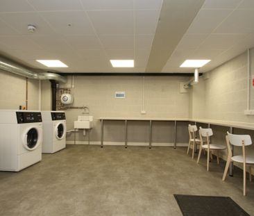 1 bed Apartment for Rent - Photo 6