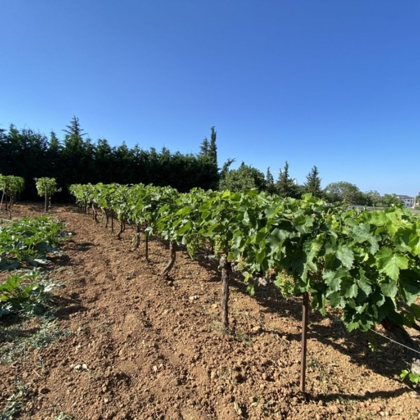 Ενοικίαση κατοικίας, 250 τ.μ., Άγιοι Ανάργυροι, 2.500 € - Photo 1