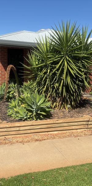 3 Bedroom, 2 bathroom home - Photo 1