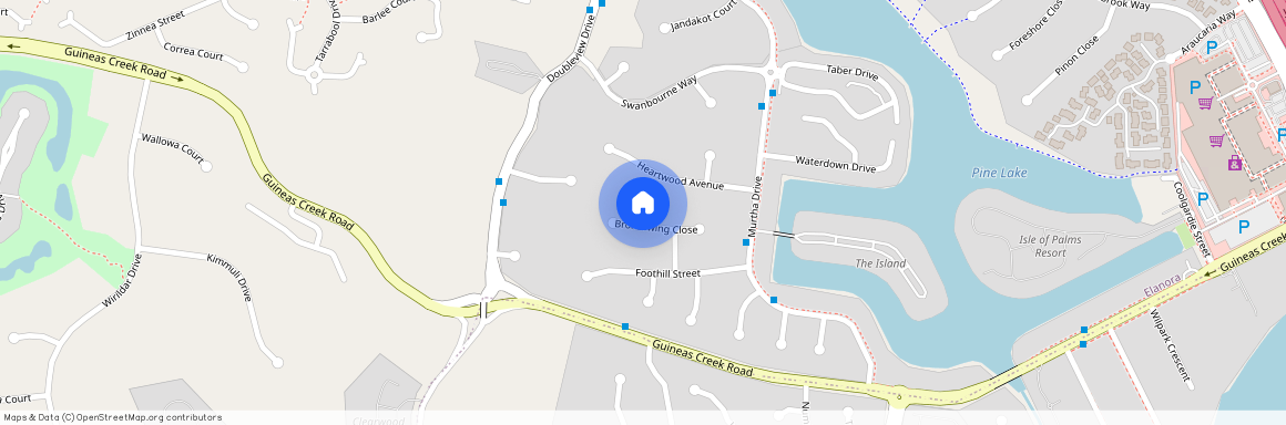 28 Bronzewing Close, Qld 4221, Elanora